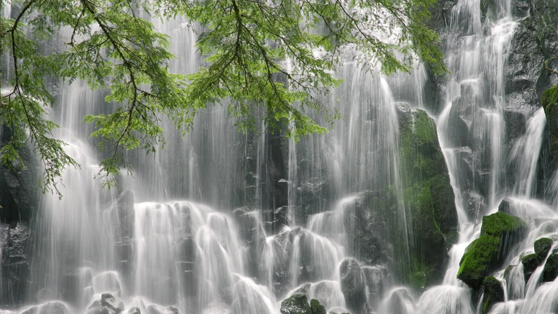 世界举重青训营康复训练教材与导师示范课程第十六批上线通知，世界举重冠军赛