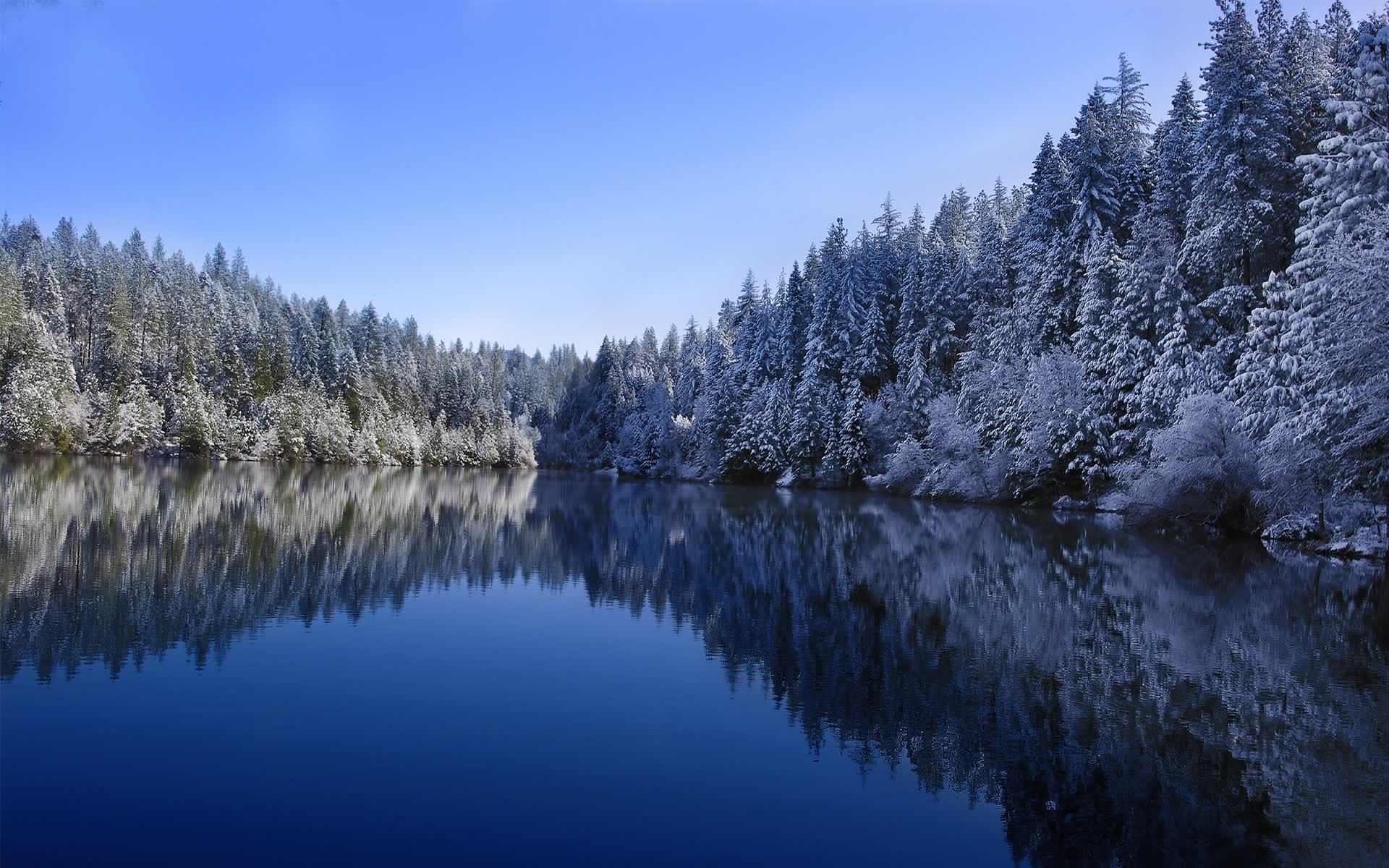 世界田径城市微赛品牌合作案例汇编电子出版,大型田径赛事